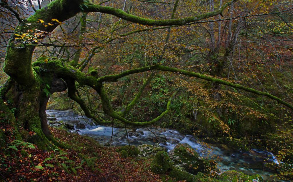 Casa Rural La Regoria Carrena de Cabrales Eksteriør bilde
